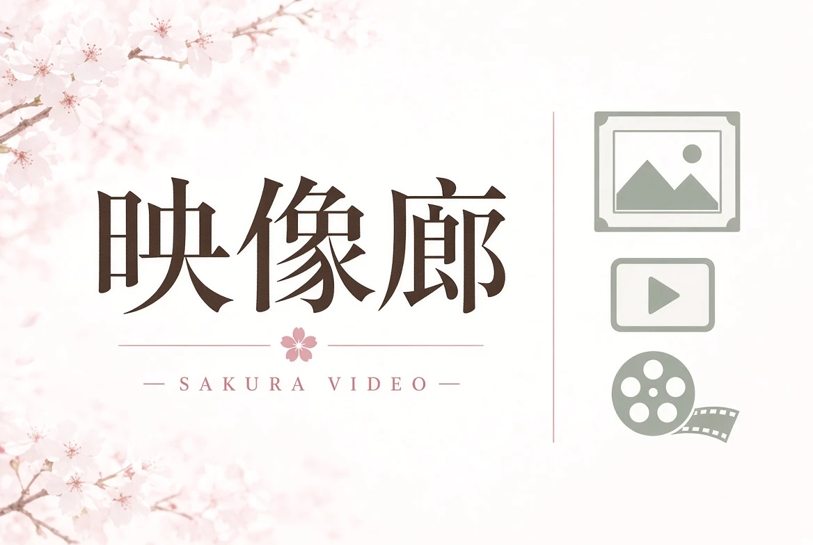 影视导览